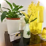 Da Coco E Mini,l'angolo Per Ceramiste In Viaggio - Pensjonat 3*