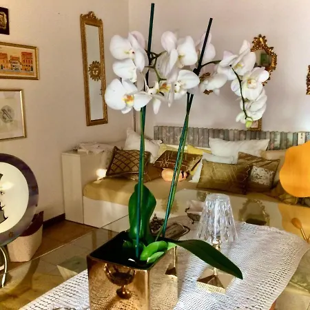 Da Coco E Mini,l'angolo Per Ceramiste In Viaggio - Maison d'hôtes Faenza