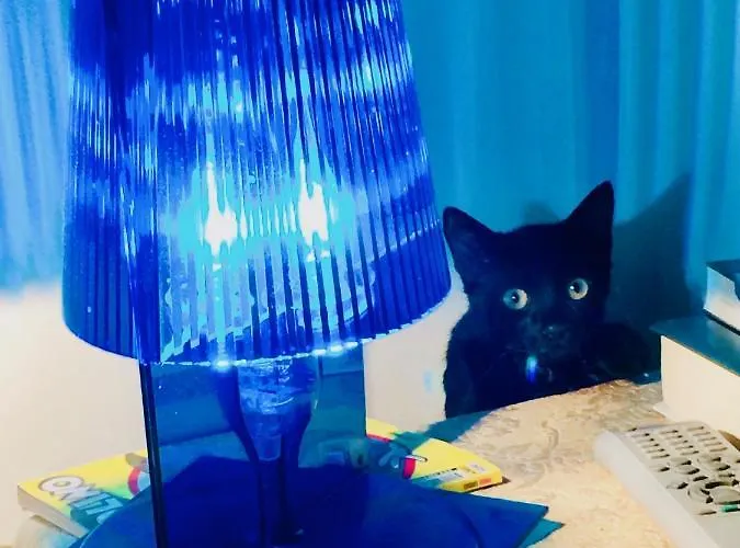 Da Coco E Mini,l'angolo Per Ceramiste In Viaggio - 3* Faenza