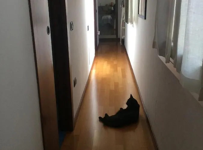 Da Coco E Mini,l'angolo Per Ceramiste In Viaggio - Pensionat 3*