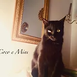 Da Coco E Mini,l'angolo Per Ceramiste In Viaggio - 3* Faenza