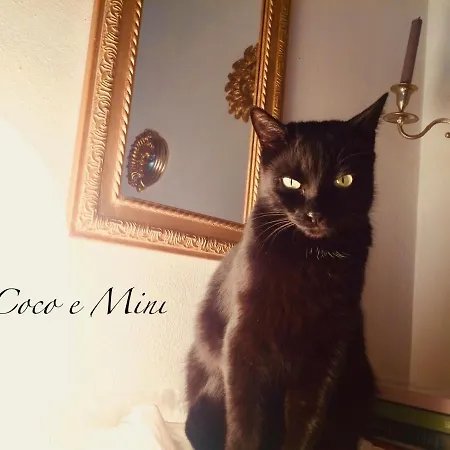 Da Coco E Mini,l'angolo Per Ceramiste In Viaggio - 3* Faenza