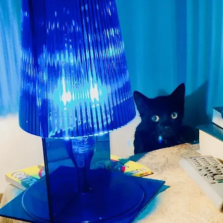 Da Coco E Mini,l'angolo Per Ceramiste In Viaggio - 3* Faenza