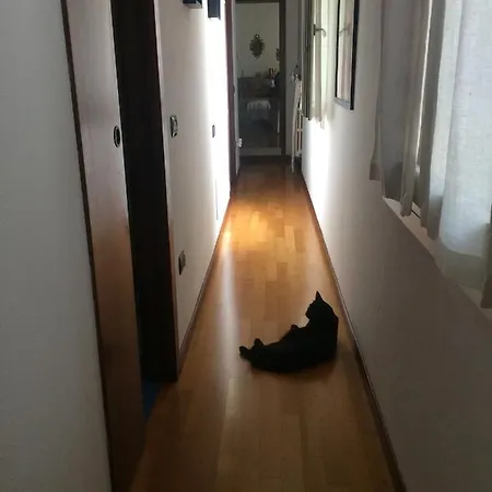 Da Coco E Mini,l'angolo Per Ceramiste In Viaggio - Pensión 3*