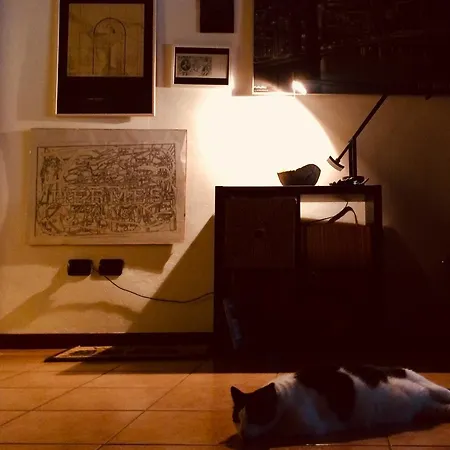 Da Coco E Mini,l'angolo Per Ceramiste In Viaggio - 게스트하우스