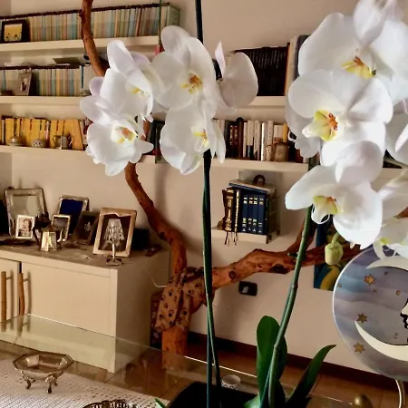 Da Coco E Mini,l'angolo Per Ceramiste In Viaggio - Pensión 3*