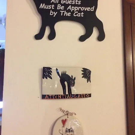 Maison d'hôtes Da Coco E Mini,l'angolo Per Ceramiste In Viaggio - 3*