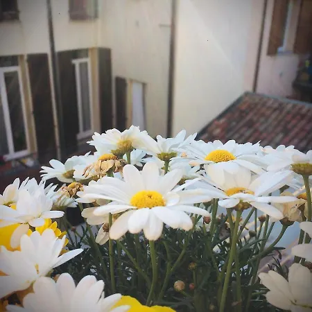 Da Coco E Mini,l'angolo Per Ceramiste In Viaggio - Penzion Faenza