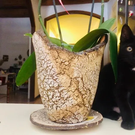 Da Coco E Mini,l'angolo Per Ceramiste In Viaggio - Maison d'hôtes