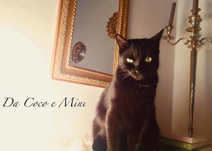 Da Coco E Mini,l'angolo Per Ceramiste In Viaggio - 3* Faenza