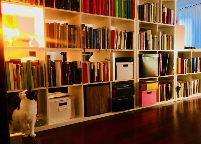 Da Coco E Mini,l'angolo Per Ceramiste In Viaggio - 게스트하우스 파엔차