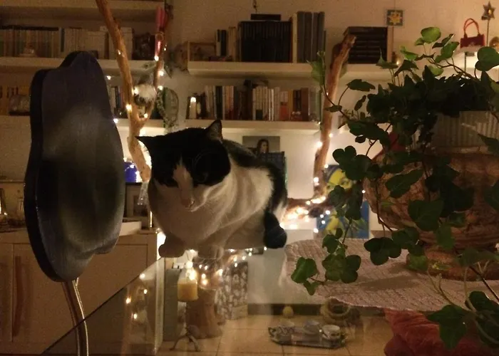 게스트하우스 Da Coco E Mini,l'angolo Per Ceramiste In Viaggio - 3*