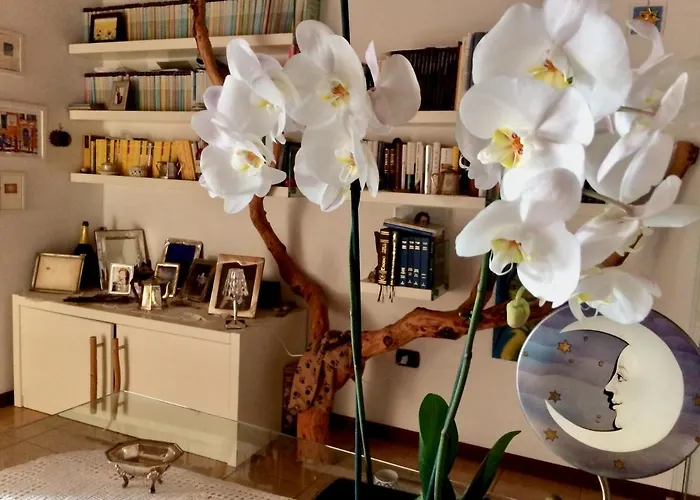 Da Coco E Mini,l'angolo Per Ceramiste In Viaggio - Maison d'hôtes 3*