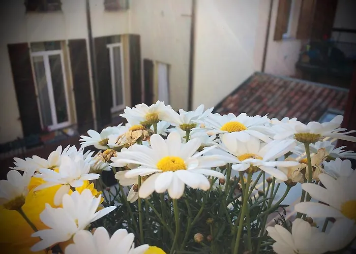 Da Coco E Mini,l'angolo Per Ceramiste In Viaggio - Maison d'hôtes Faenza